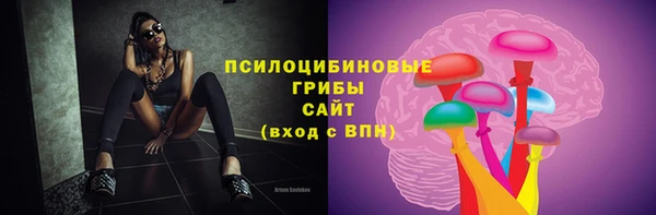 эйфоретик Алексин