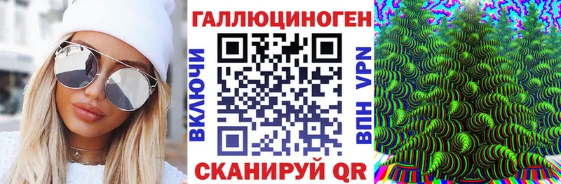 где найти Новочеркасск Галлюциногенные грибы Psilocybine cubensis